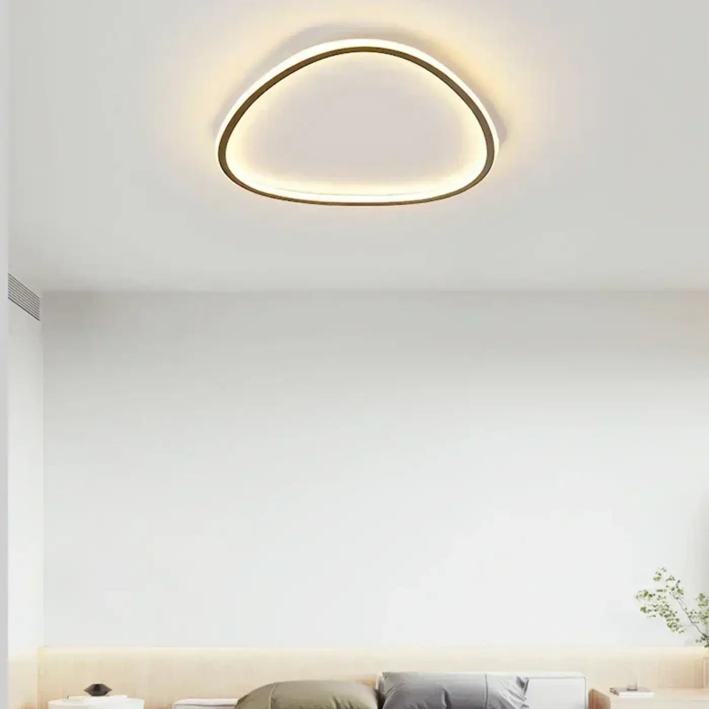 Plafonnier LED Organique Asymétrique Design Contemporain