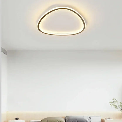 Plafonnier LED Organique Asymétrique Design Contemporain