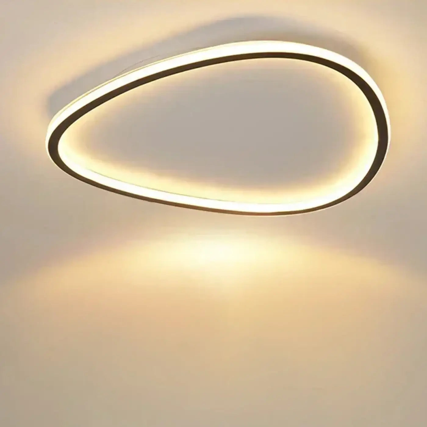 Plafonnier LED Organique Asymétrique Design Contemporain